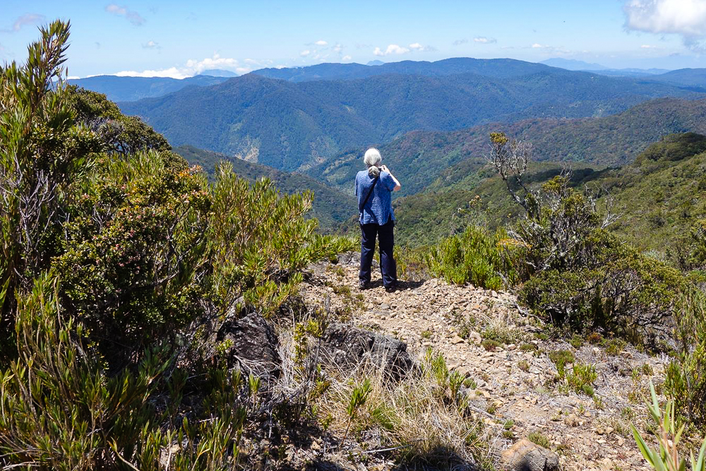 Cerro de la Muerte